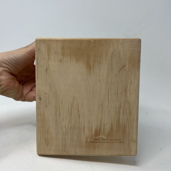 Lovevery Wooden Peg Drop NO PEGS Thinker Play Kit Months 11-12 Baby Montessori - Picture 4 of 4